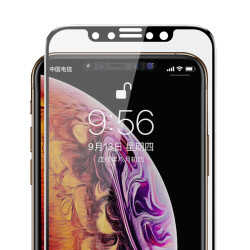 iPhone 11 Pro Benks 0.3mm V Pro Privacy Ekran Koruyucu