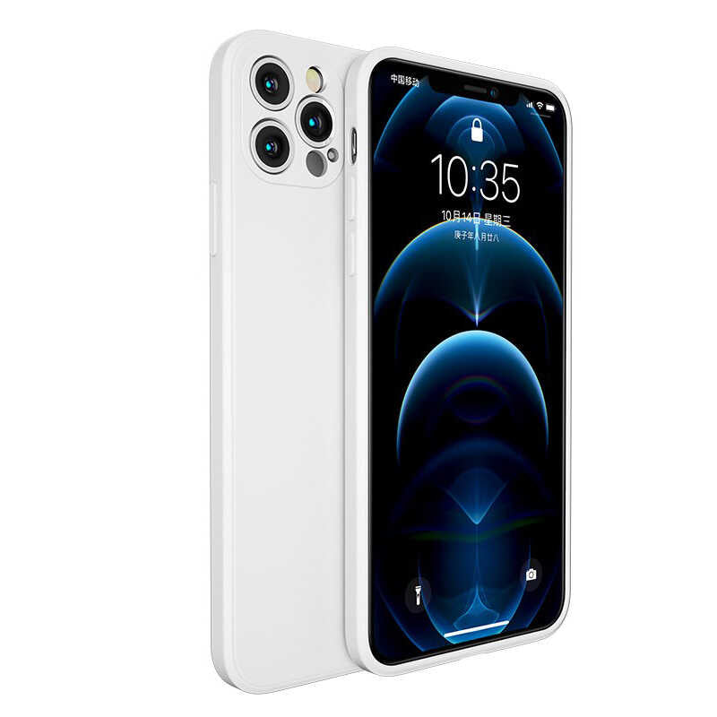 iPhone 12 Pro Max Kılıf Benks Painting TPU Kapak