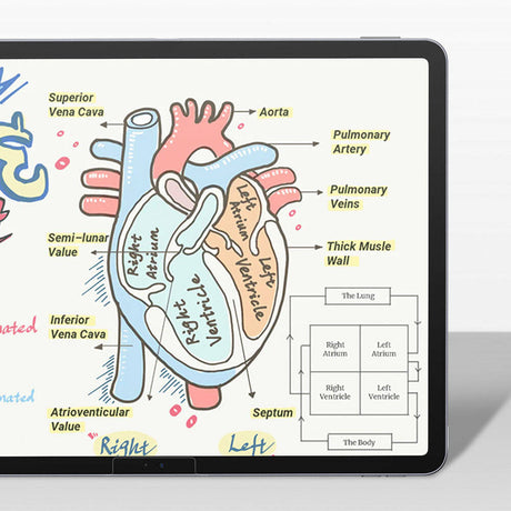 iPad Pro 13 M4/M5 2024/2025 Benks Paper Like Mat Ekran Koruyucu